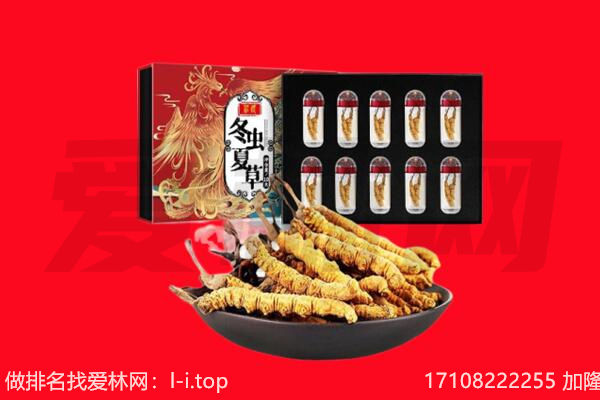 鄂州回收虫草.jpg